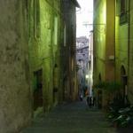 Toscana 2008 - Siena